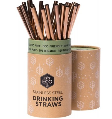 EVER ECO Stainless Steel Straw - Straight